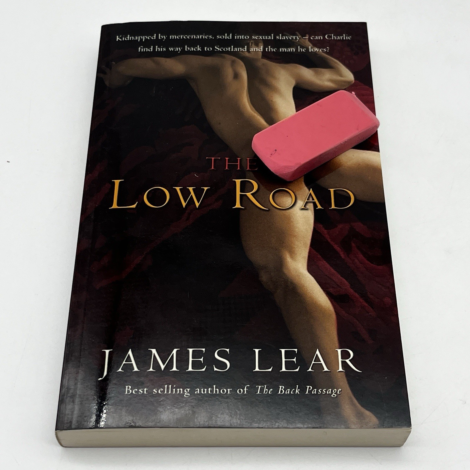 Low Road by James Lear (2009, Trade Paperback)
