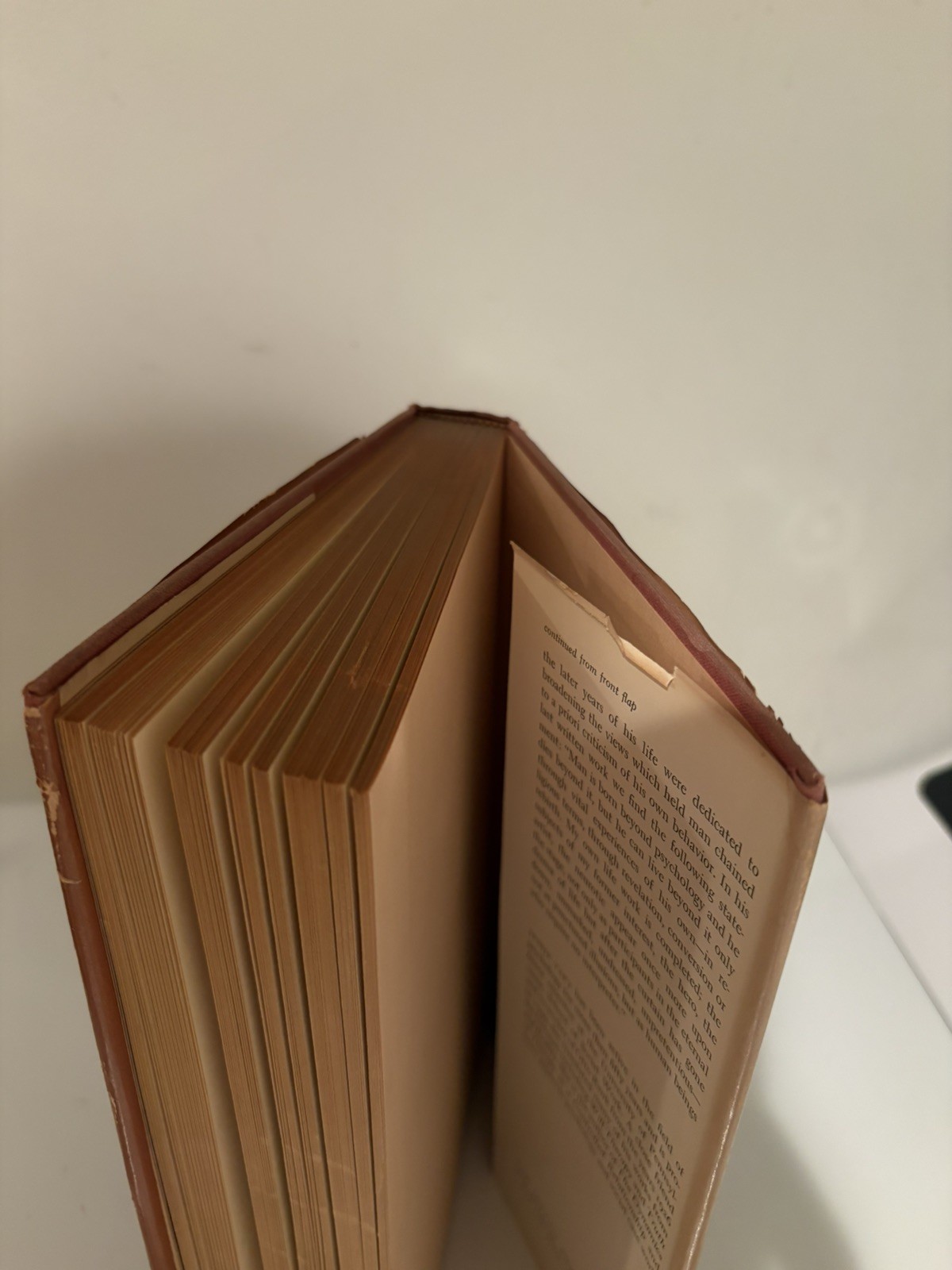 Otto Rank by Jessie Taft A biographical study 1958 Hardcover Book