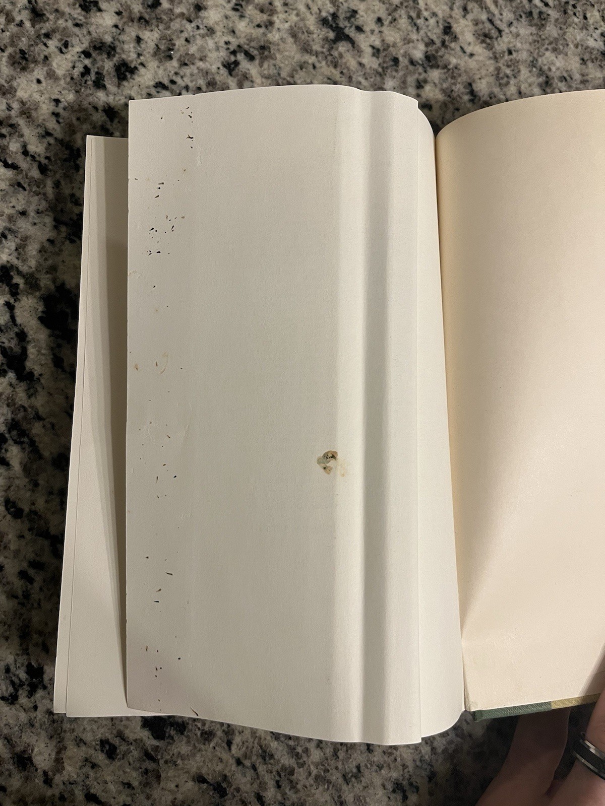 SIGNED Baylor At independence Hardback, Lois Smith Murray 1972