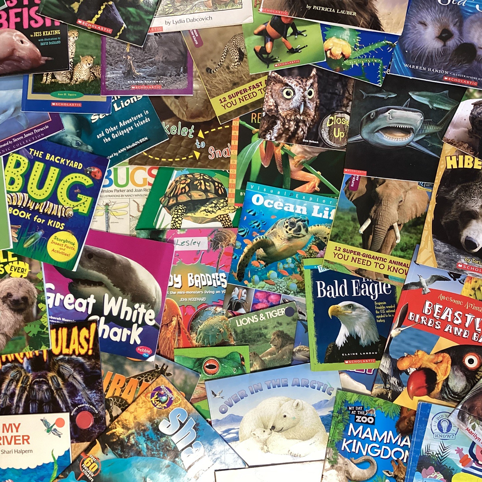 Children’s Random Animal Science Nonfiction Education Classroom 20 Book Lot