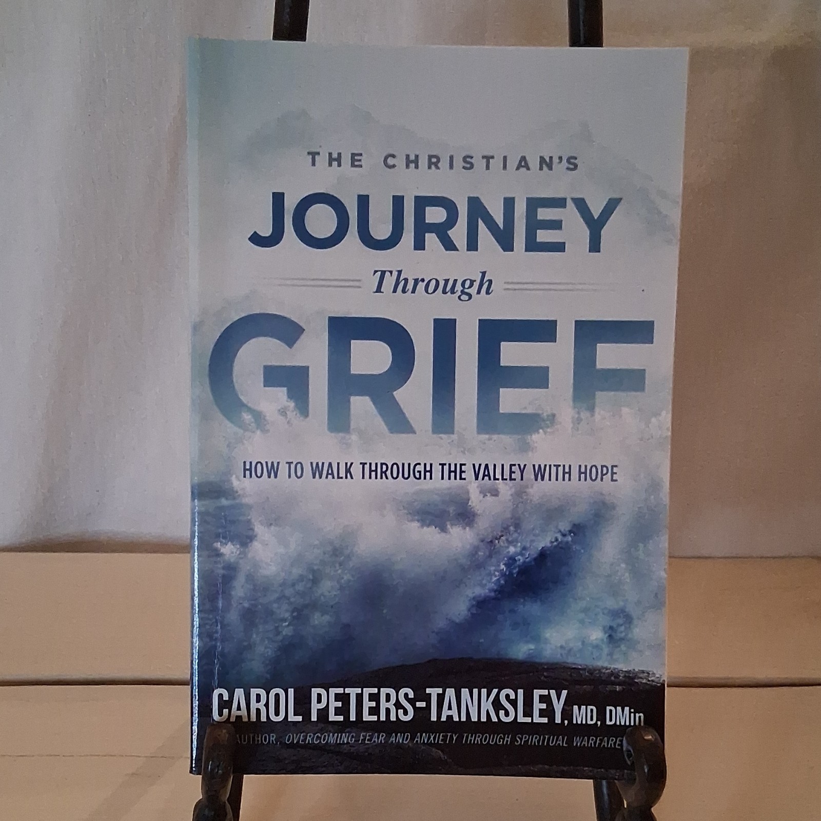 Charisma House Christian’s Journey Through Grief by Carol Peters-Tanksley 2019 …