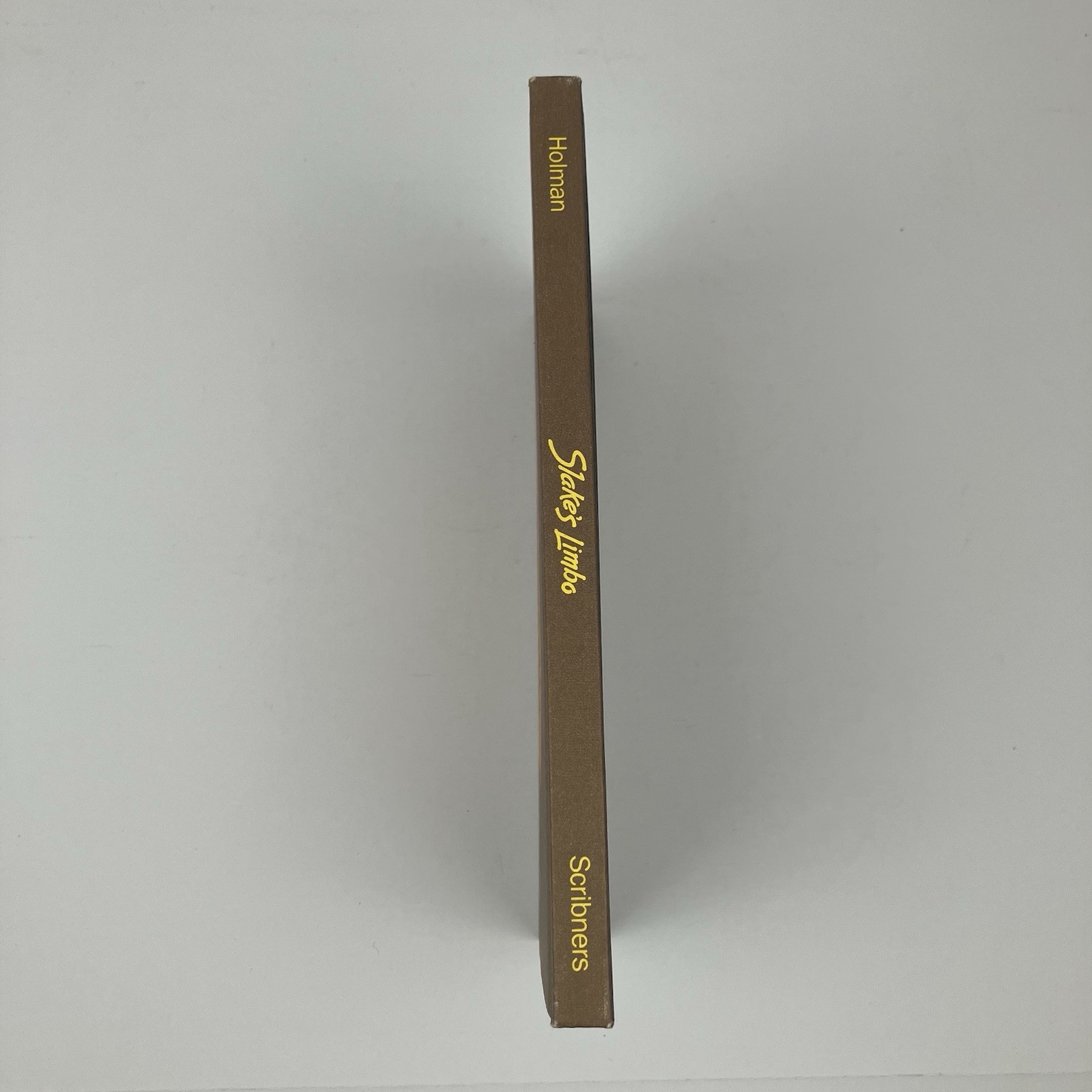 VTG «Slake’s Limbo» By Felice Holman / Hardcover / 1974 / First Edition