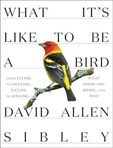 What It’s Like to Be a Bird: From Flying to Nesting, Eating to Singing—What…