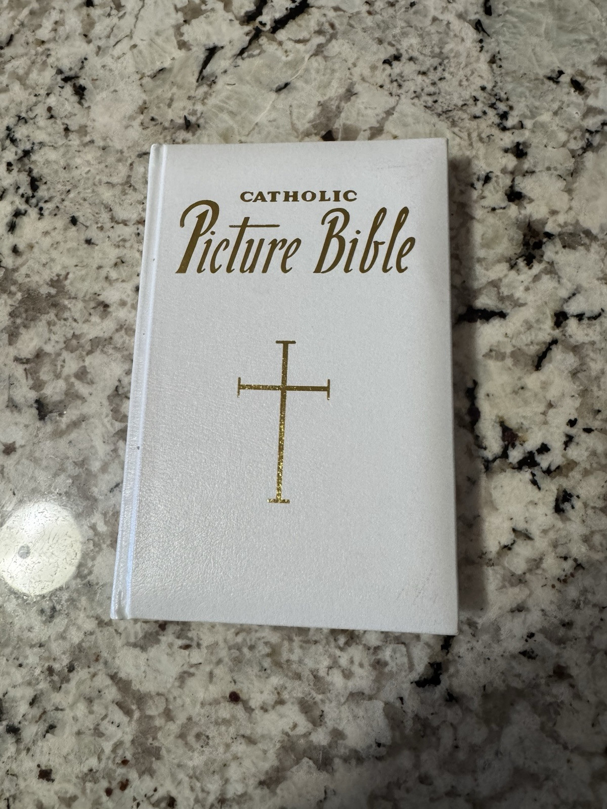 Catholic Picture Bible Illustrated Stories 1990 Gold Edged Excellent Condition