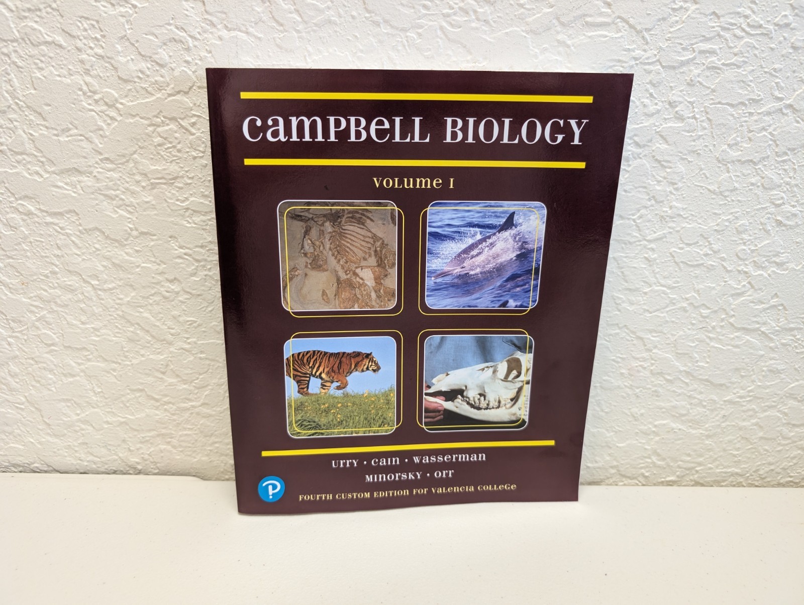Campbell Biology Volume 1 Fourth Custom Ed (Valencia College)