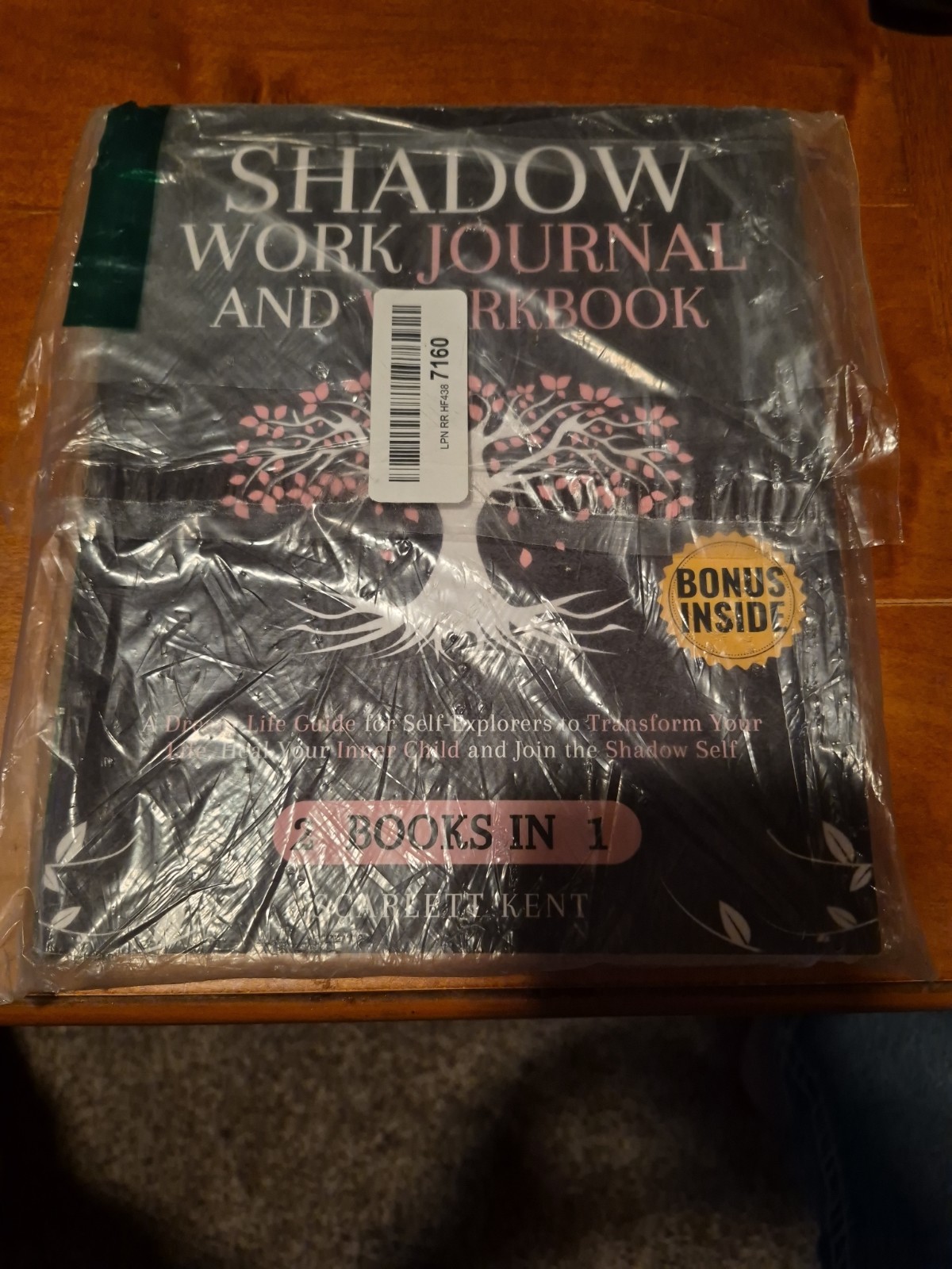 Shadow Work Journal and Workbook — 2 in 1: a Dream-Life Guide for Self-Explorers