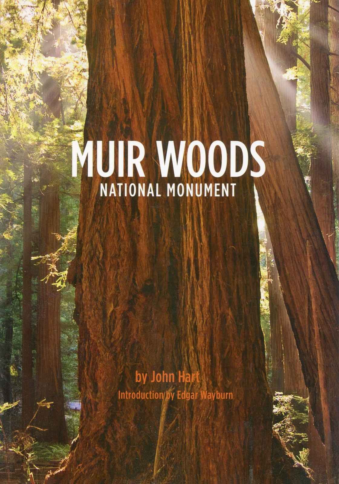 Muir Woods National Monument