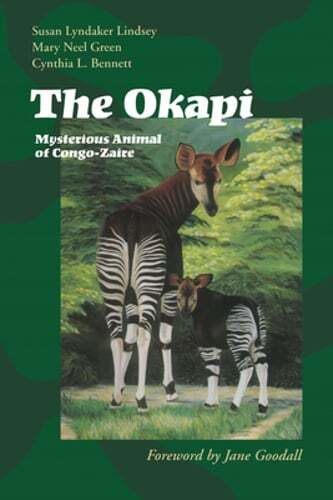 The Okapi: Mysterious Animal of Congo-Zaire by Susan Lyndaker Lindsey: Used