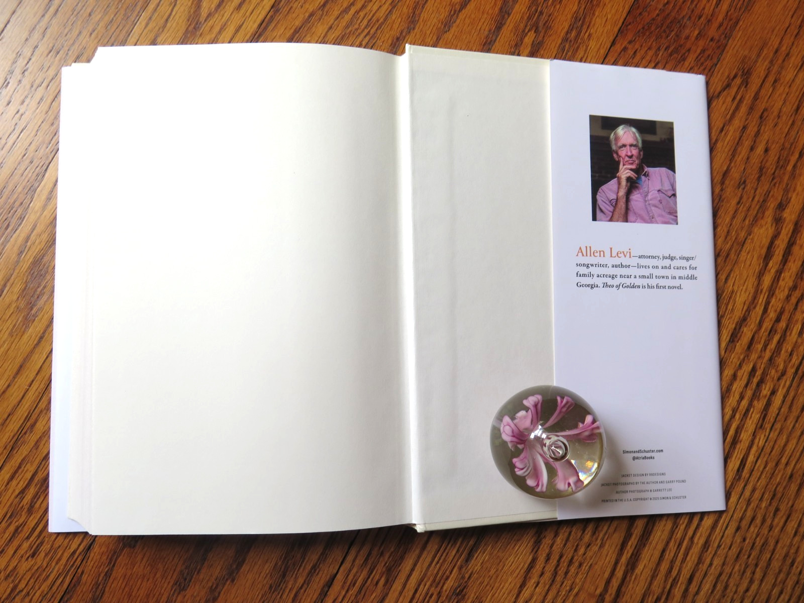SIGNED by Allen Levi | Theo of Golden | 1st Edition, 6th Printing