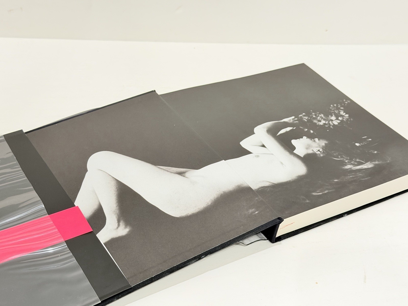 Premier Nudes Albert Arthur Allen 2001 Hardcover 1st Ed Twin Palms Photography