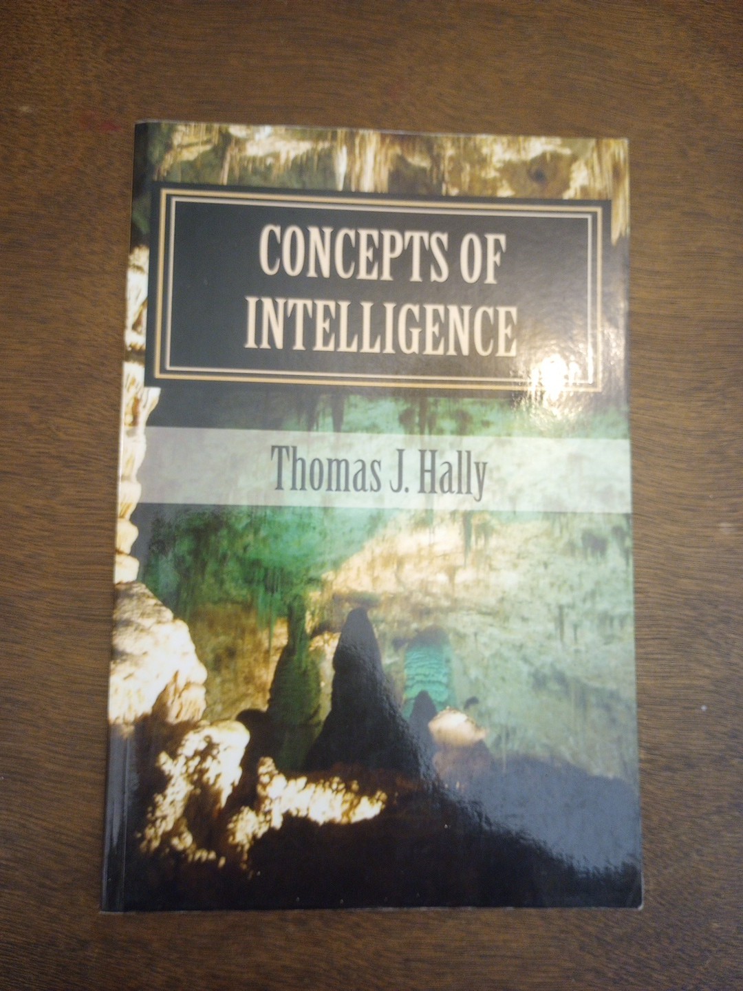 Concepts of Intelligence by Thomas J. Hally