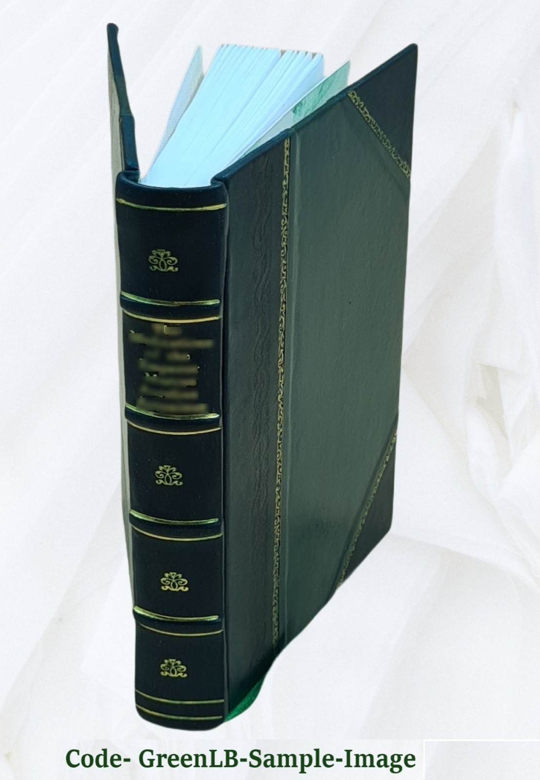 Report On The Coal Measures Of The Plateau Region Of Alabama Vol [Leather Bound]