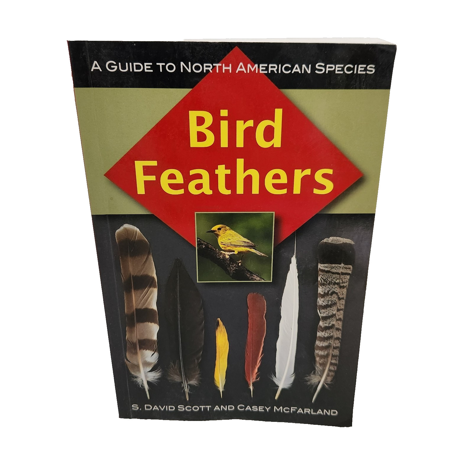 Bird Feathers Guide to North American Species David Scott Casey McFarland