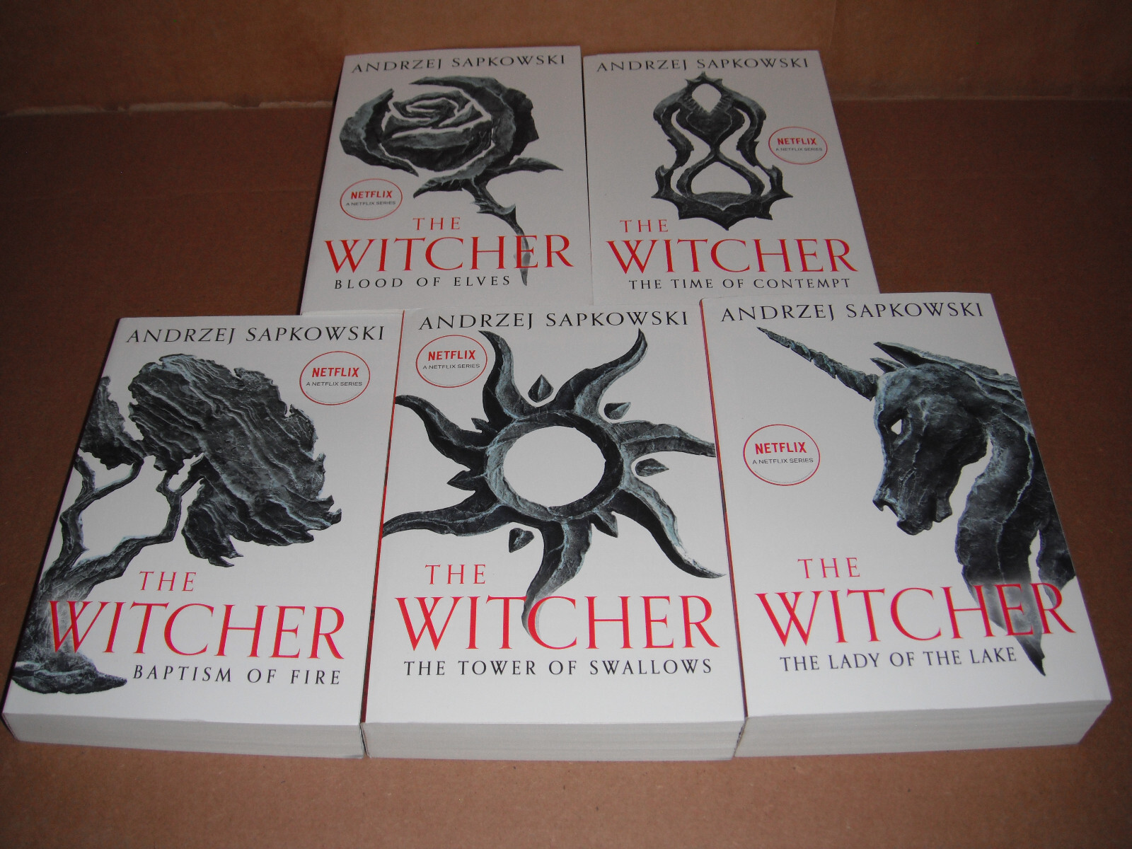 The Witcher Vol. 1,2,3,4,5 by Andrzej Sapkowski Paperback