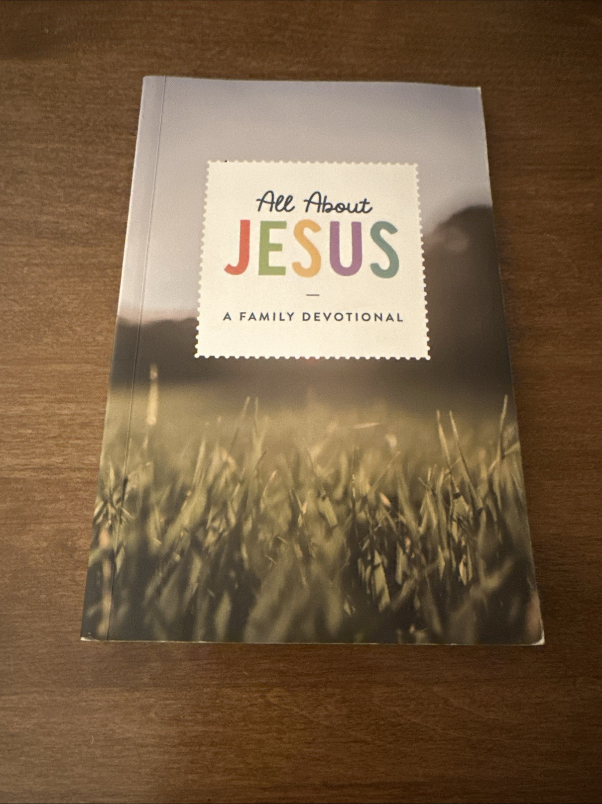 Set of 2 The Daily Grace Co.: Thirty Truths and All About Jesus GOOD NO WRITING