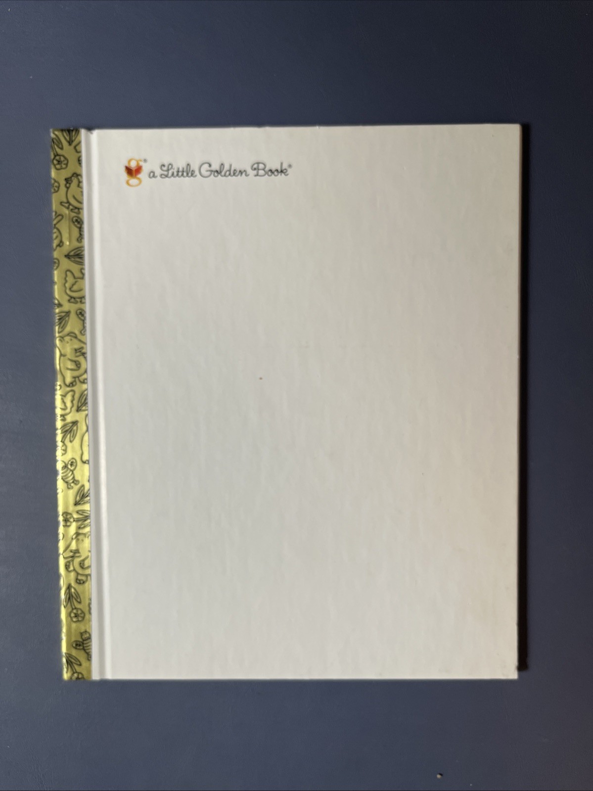 Little Golden Book Write Your Own Story