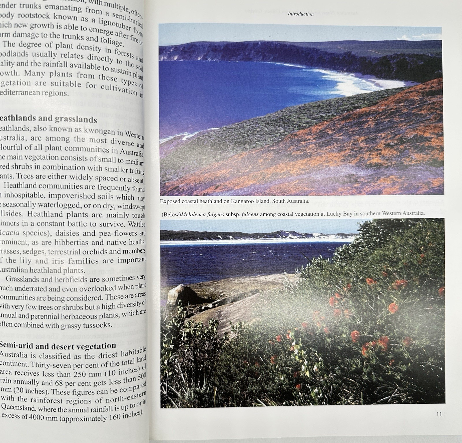 Australian Plants for Mediterranean Climate Gardens Rodger Elliot PB Book 2003
