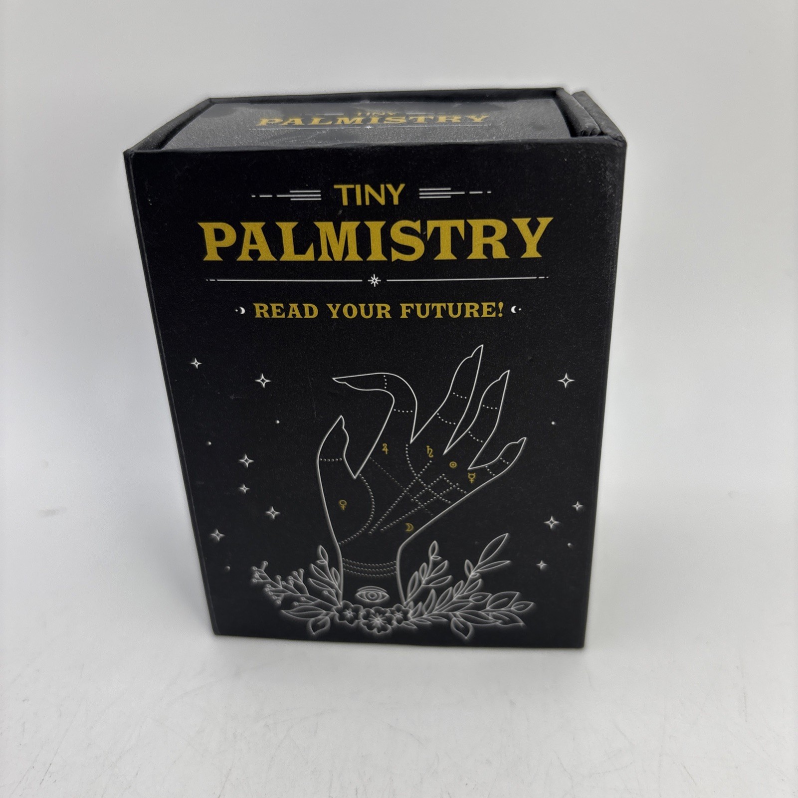 Tiny Palmistry Gift Set Read Your Future Hand Book Nikki Van De Car Kit Book