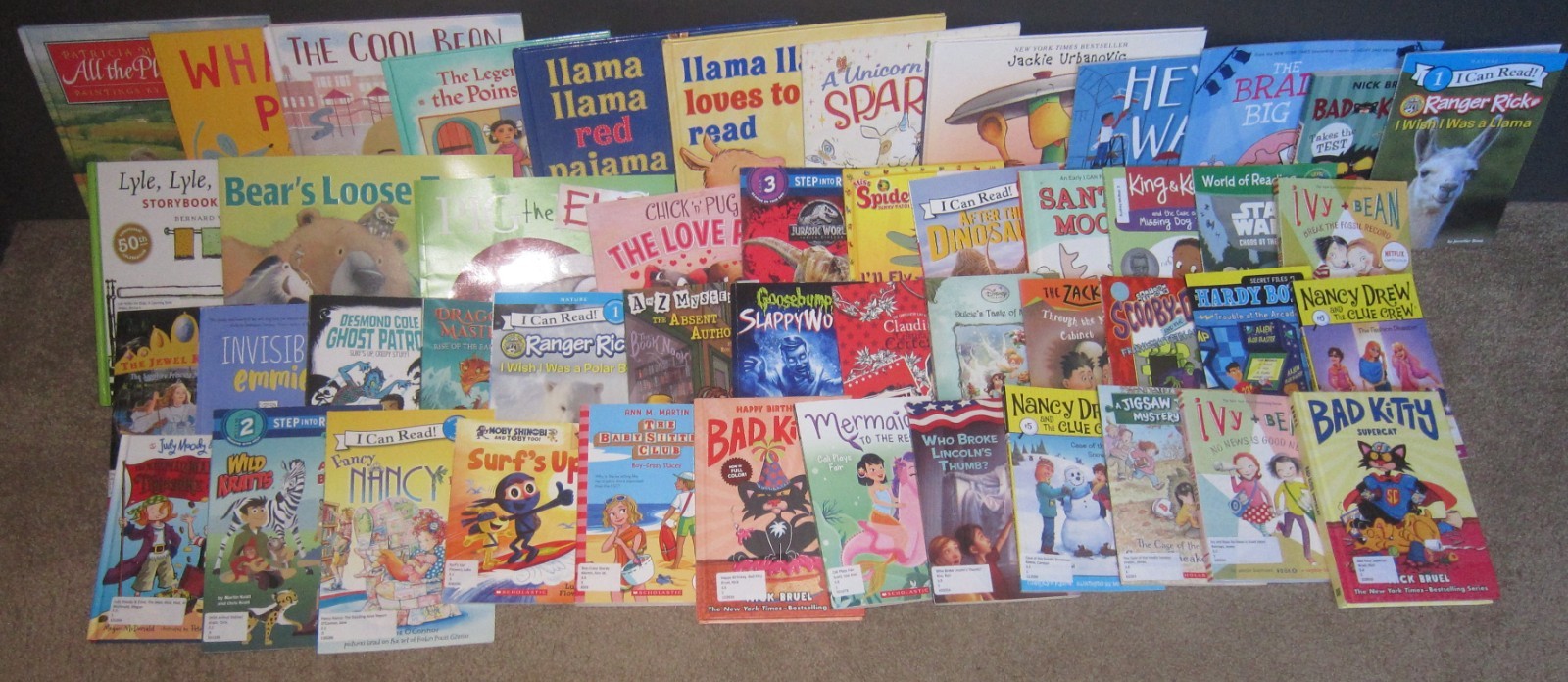 50 AR Accelerated Reader Titles — Reading Levels 1.8 — 3.9 Labeled & Ready!