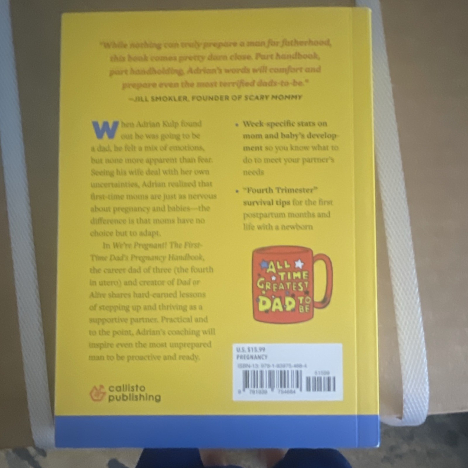 Callisto Publishing We’re Pregnant! Dad’s Handbook PB 2018 Adrian Kulp