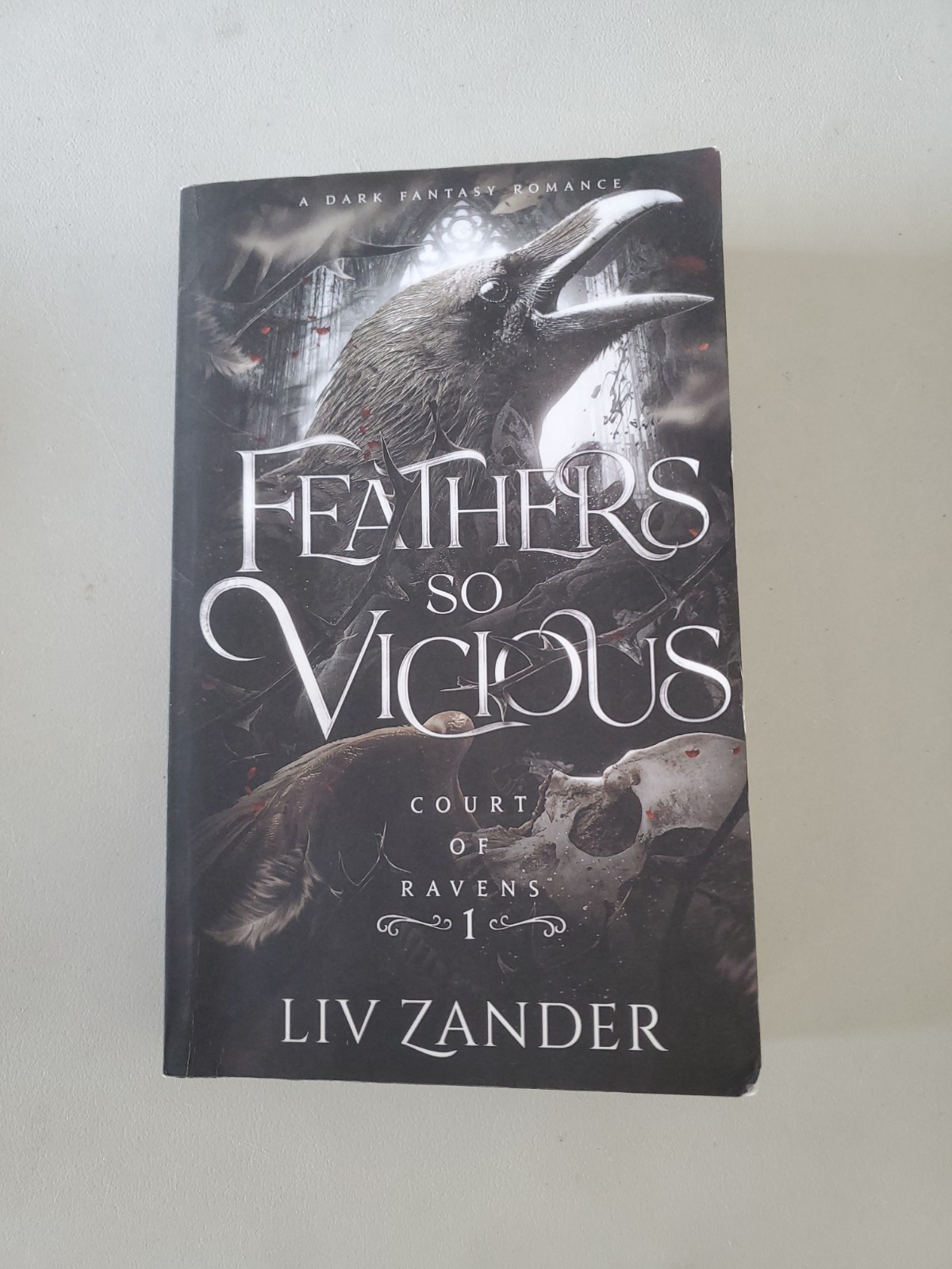 Feathers so Vicious: A Dark Fantasy — Paperback, by Zander Liv