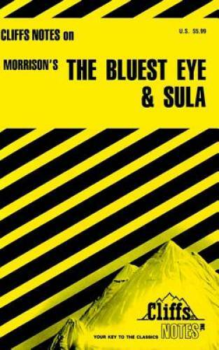 The Bluest Eye and Sula (Cliffs Notes) — Paperback By Nye, Louisa S — GOOD