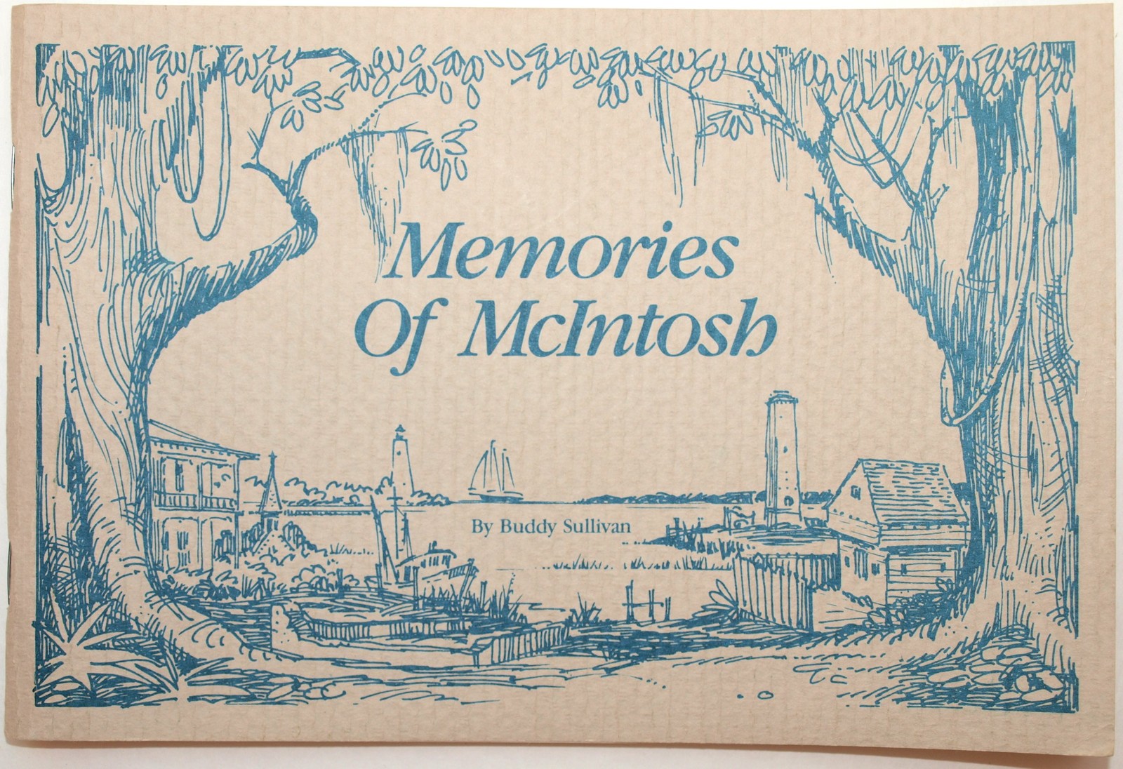 Memories of McIntosh: A Brief History of McIntosh County, Darien, and Sapelo