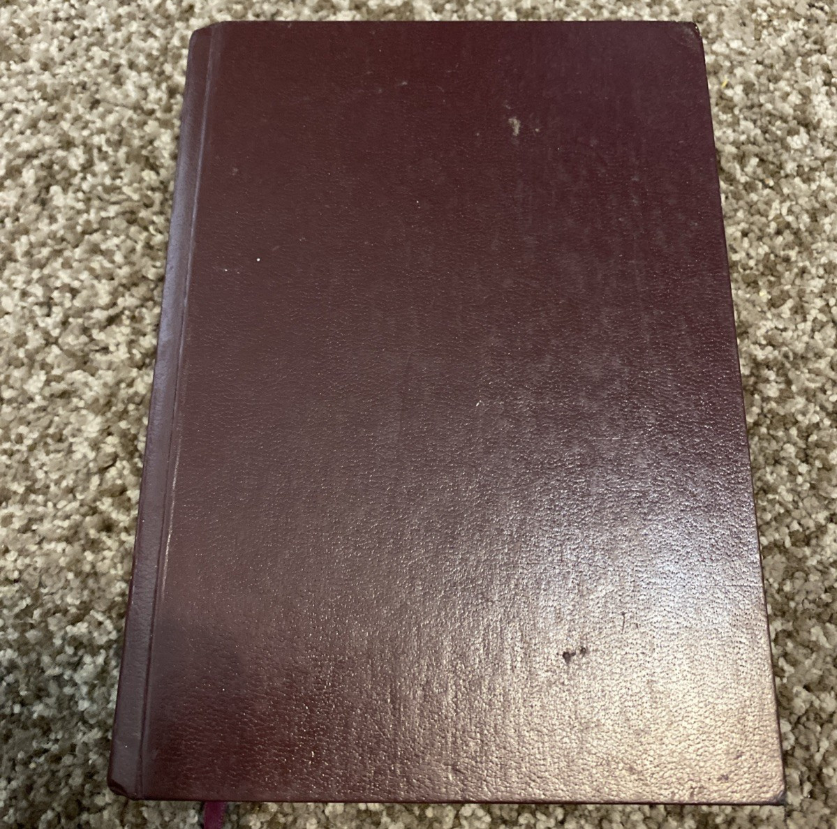 The Everyday Life Bible Amplified Version Joyce Meyer Commentary Faith Words