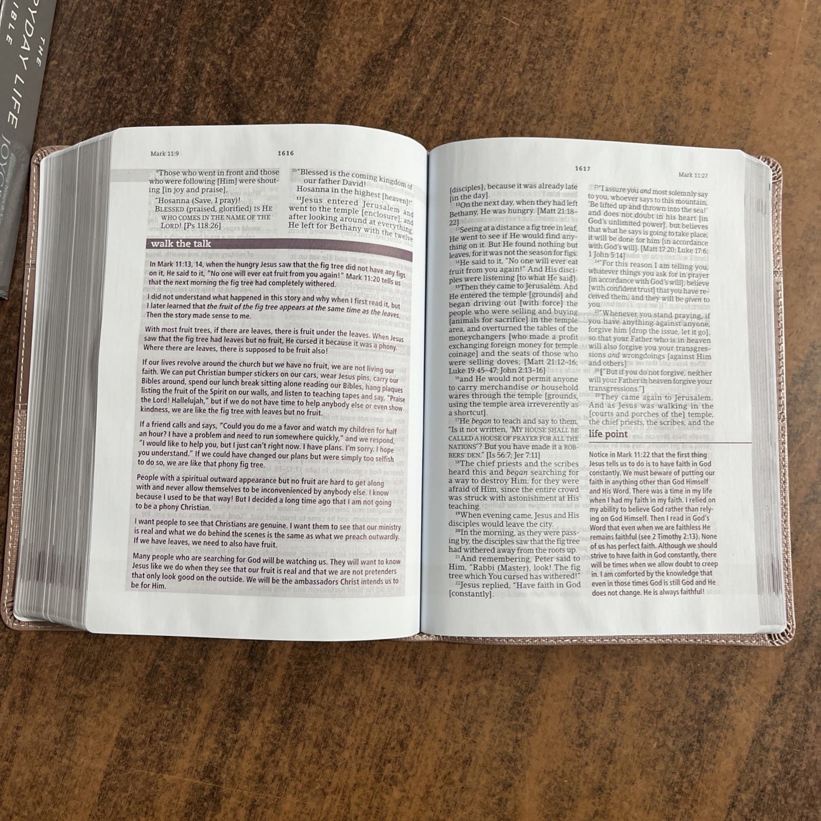 Amplified Joyce Meyer Everyday Life Study Bible — Blush LeatherLuxe