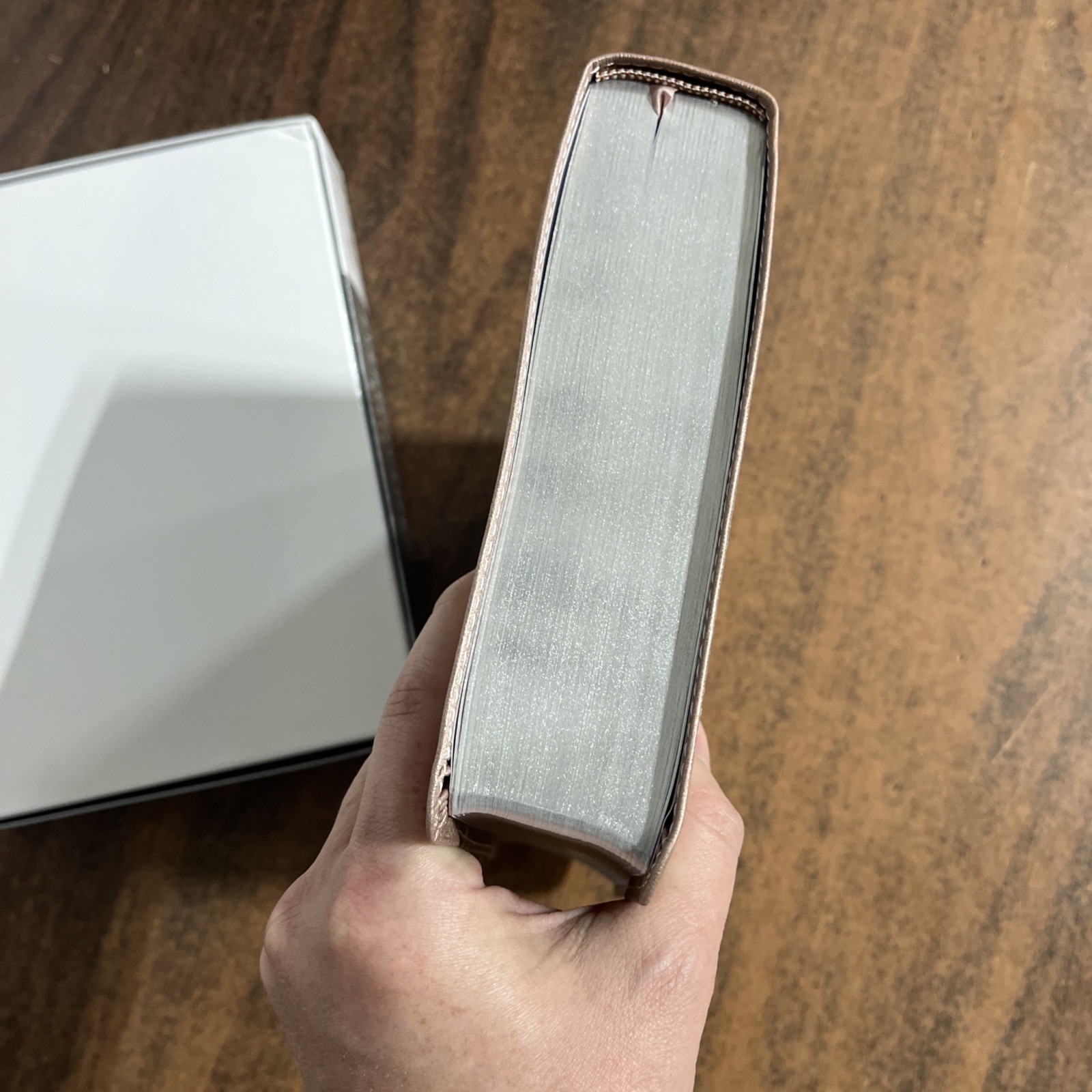 Amplified Joyce Meyer Everyday Life Study Bible — Blush LeatherLuxe