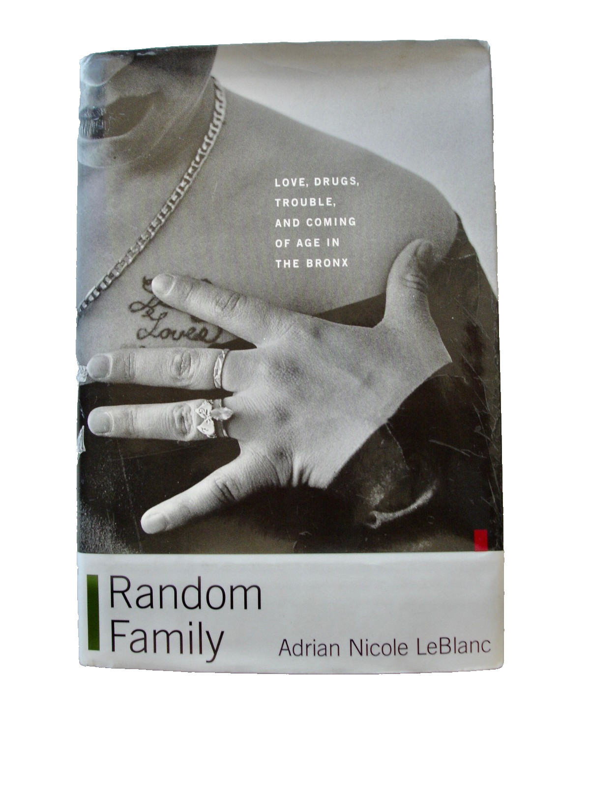 Random Family by Adrian Nicole LeBlanc 408 pages Hardcover