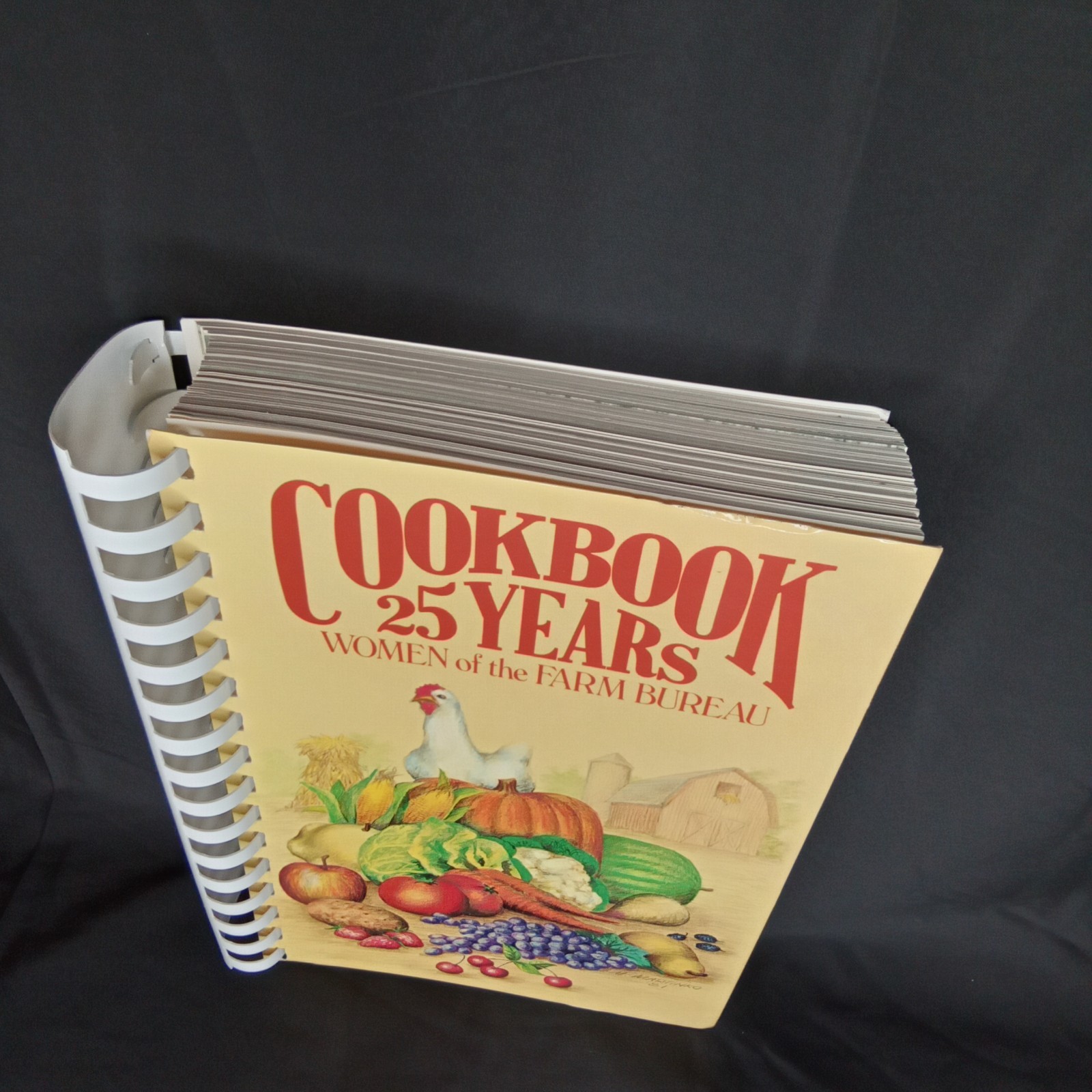 Vintage 1980s Women Of The Farm Bureau Spiral Bound Cookbook 489 Pages Closeout