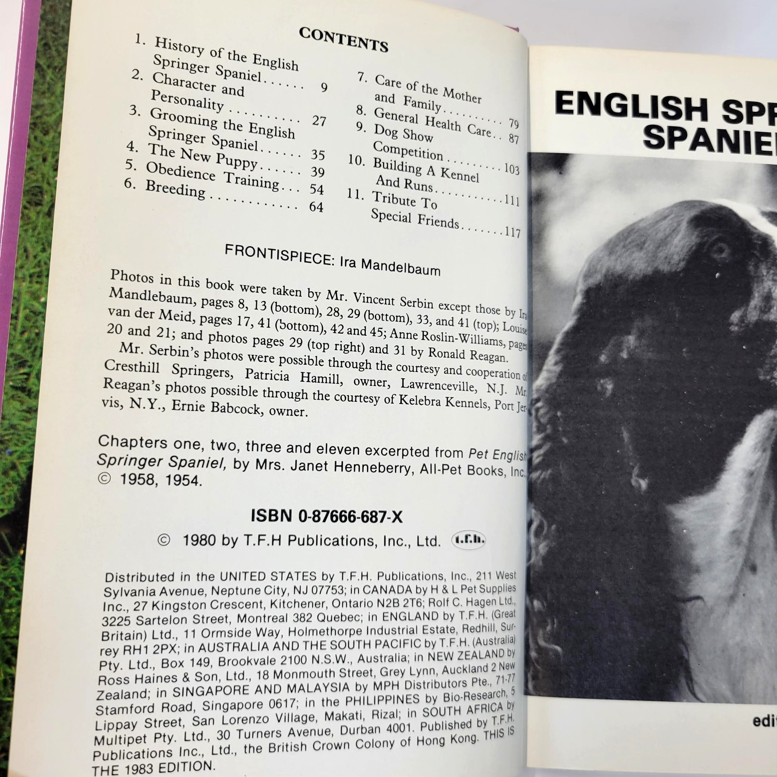 Vintage English Springer Spaniels Diane McCarty T.F.H. Purple HC Dog Care 1983