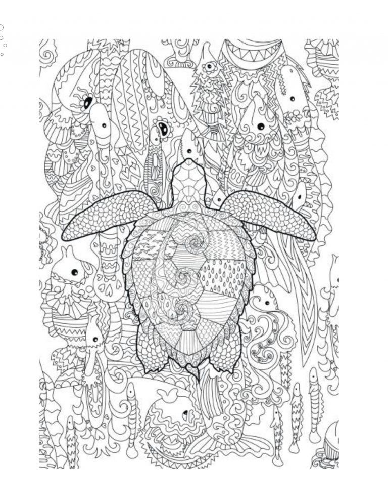 Turtles Coloring Book Save the Planet 108 Pages 8.5 x 11 for All Ages by JKL