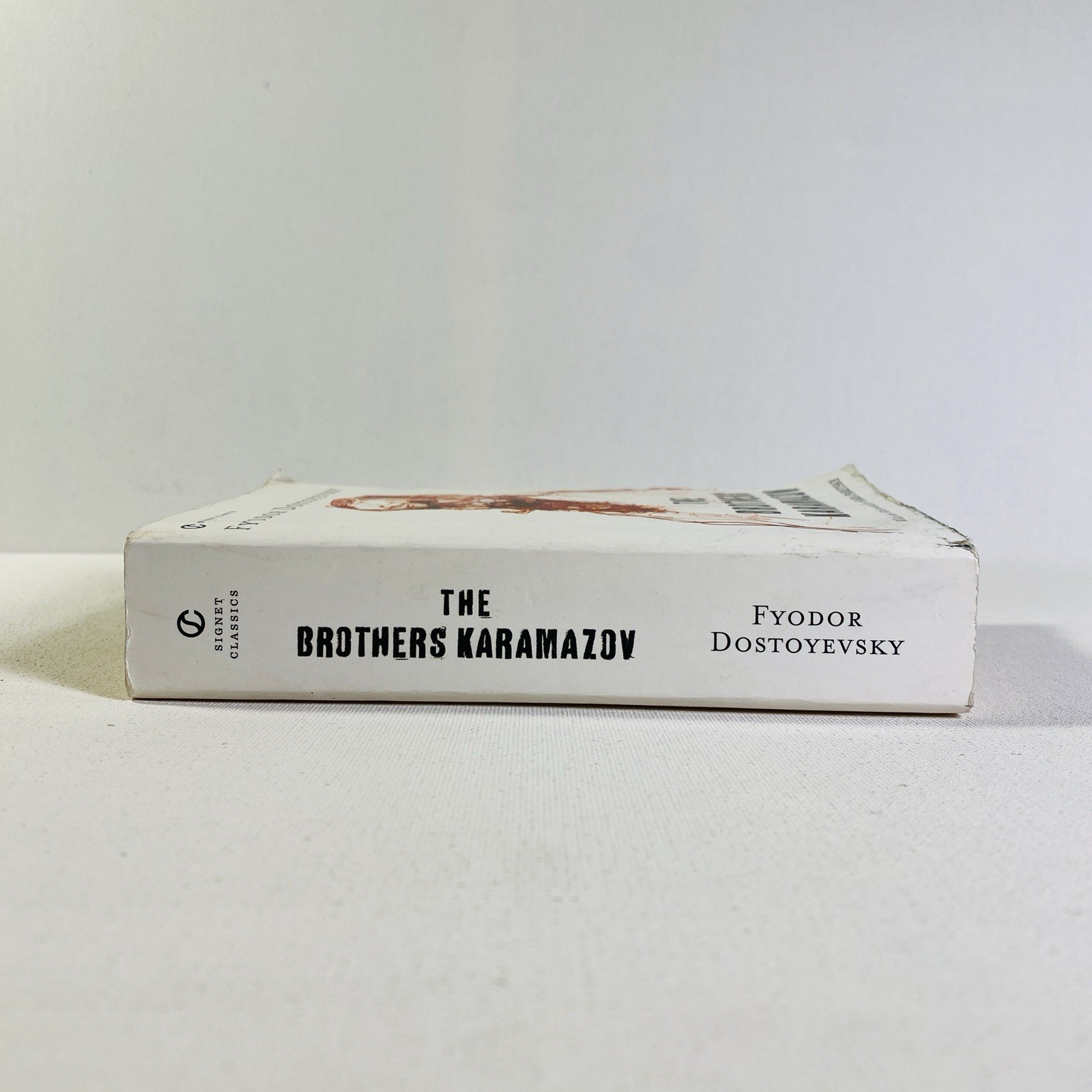 Brothers Karamazov by Fyodor Dostoyevsky 2007, Trade Paperback