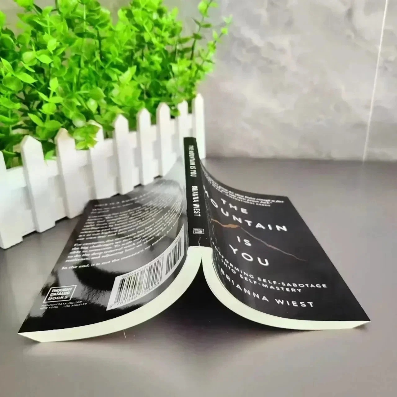 The Mountain is you by Brianna Wiest Paperback Book — Free Shipping US
