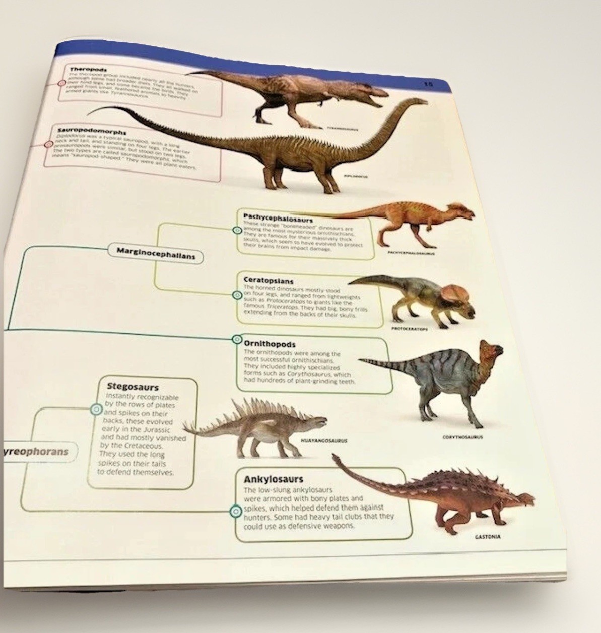 Dinosaurs Book Prehistoric Creatures 1st Ed Table Room Decor Staging Illustrated
