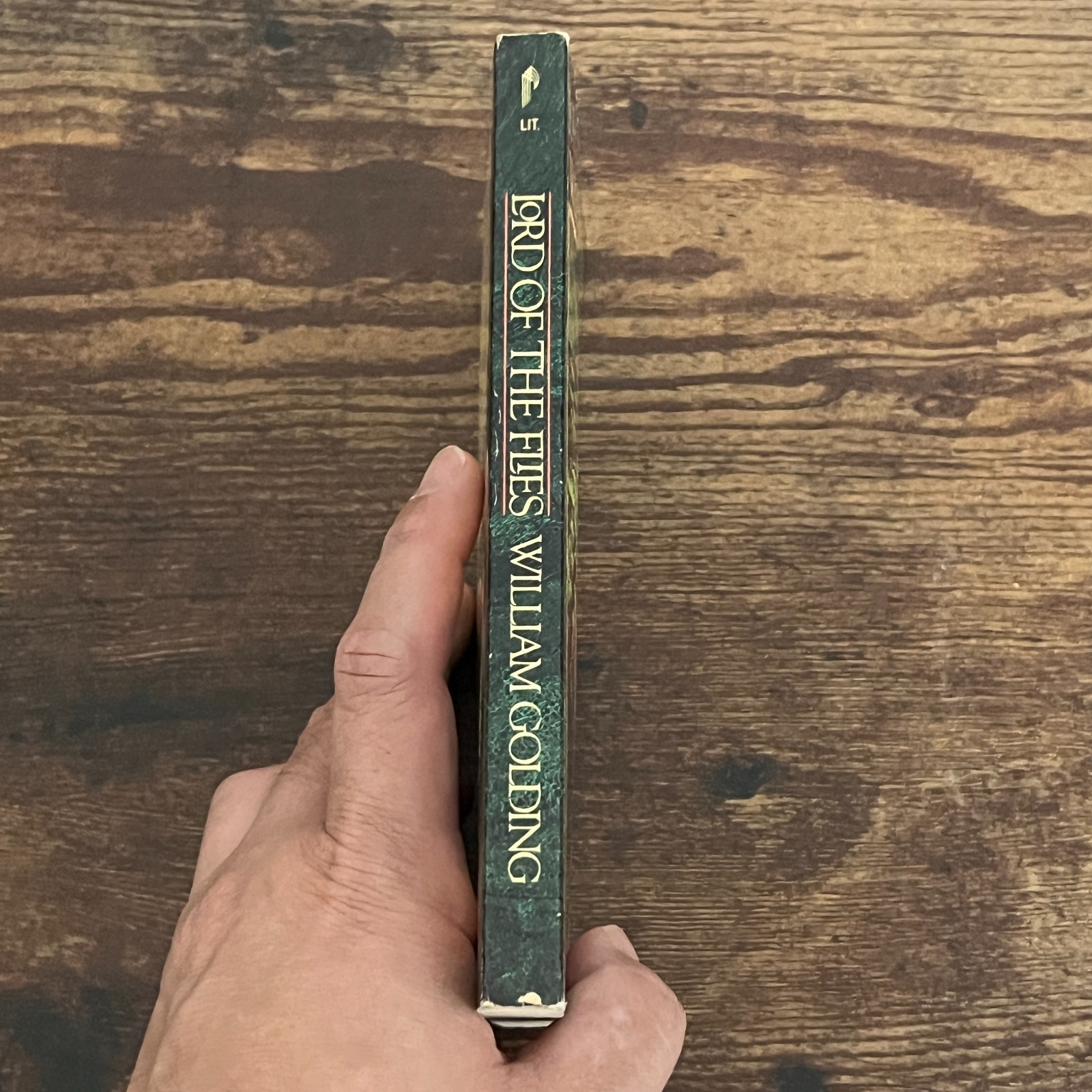 Lord of the Flies by William Golding 1983 Paperback Dystopian Classic Literature