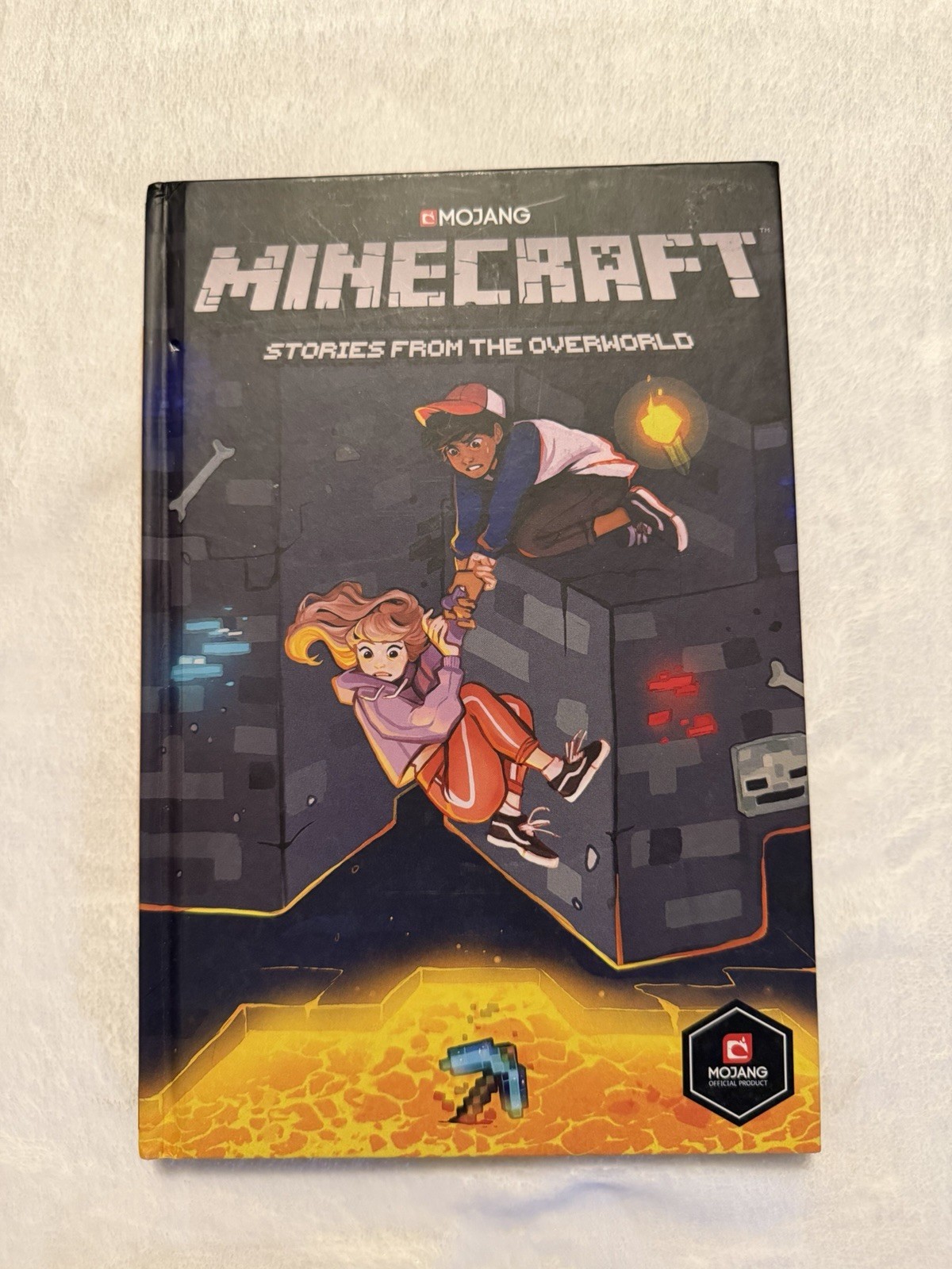 Minecraft: Stories from the Overworld (Graphic Novel) by Stephen McCranie,…