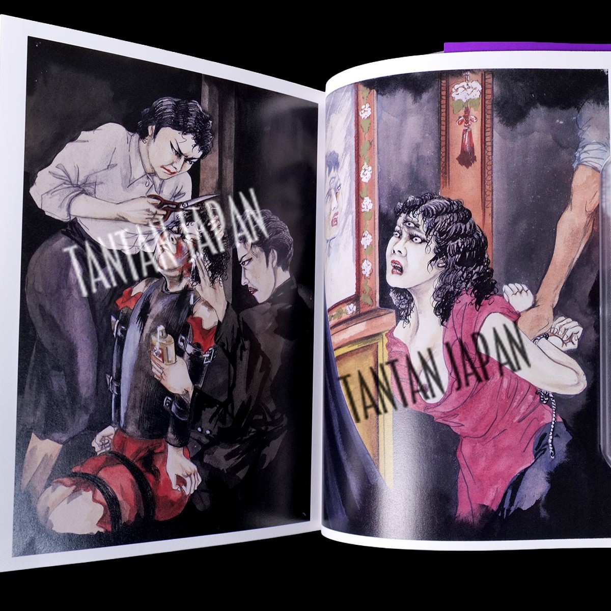 Secret Cruelty Scroll Art Book Ero Guro Muzan-e Seiyo Usui Takashi Shiba