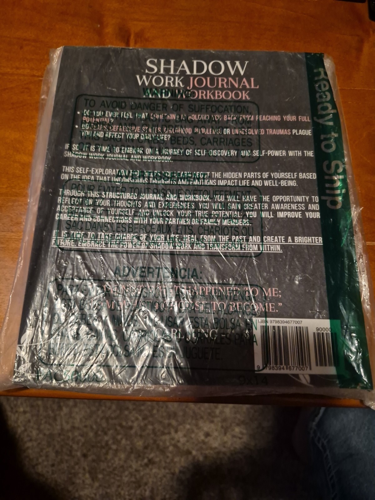 Shadow Work Journal and Workbook — 2 in 1: a Dream-Life Guide for Self-Explorers