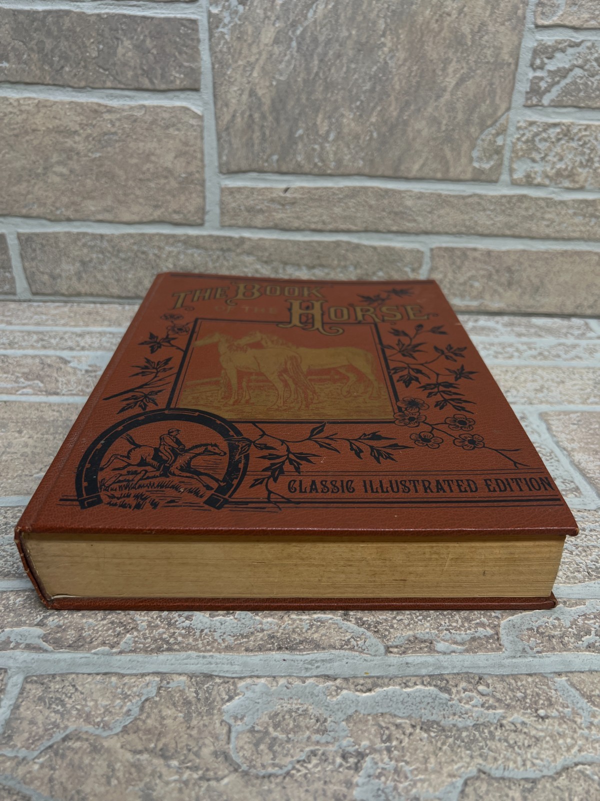 The Book of the Horse Classic Illustrated Edition Bonanza Books Hardcover