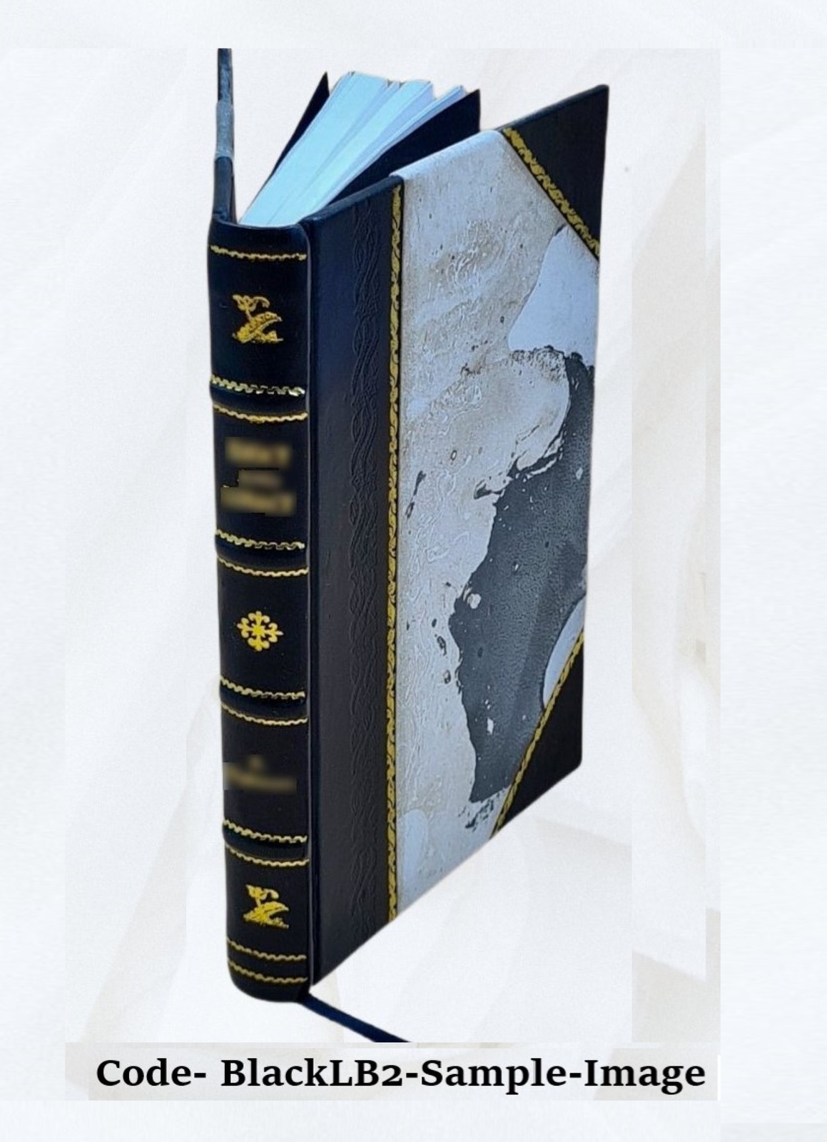 Report On The Coal Measures Of The Plateau Region Of Alabama Vol [Leather Bound]