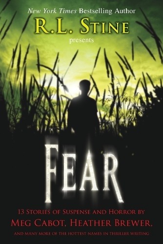 Fear: 13 Stories of Suspense and Horror by Stine, R L Book The Fast Free