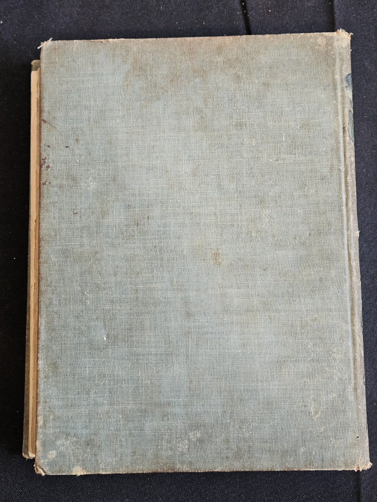 The Glory of Woman; or, Love, Marriage, & Maternity -Amelia C McGregor, MD 1896