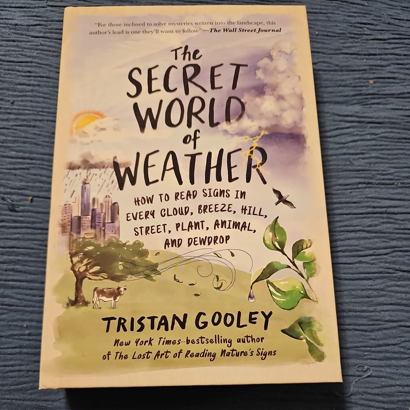 The Secret World of Weather by Tristan Gooley