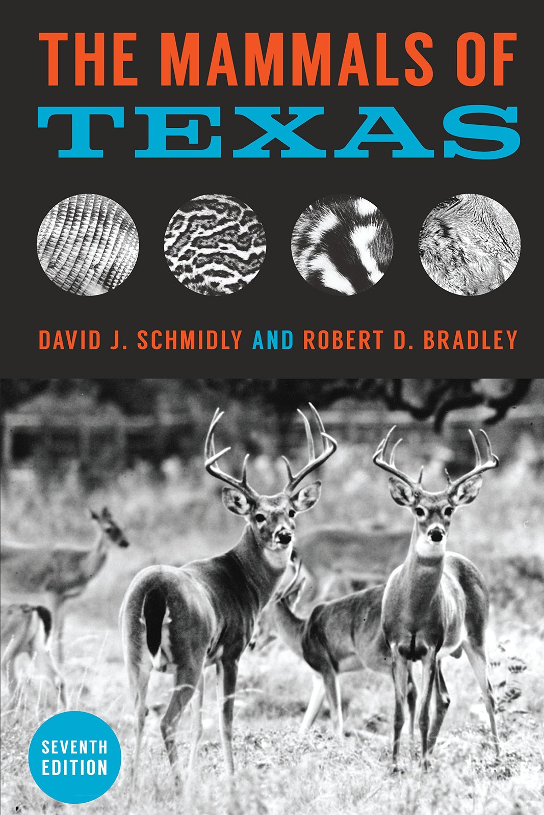 The Mammals of Texas by David J. Schmidly