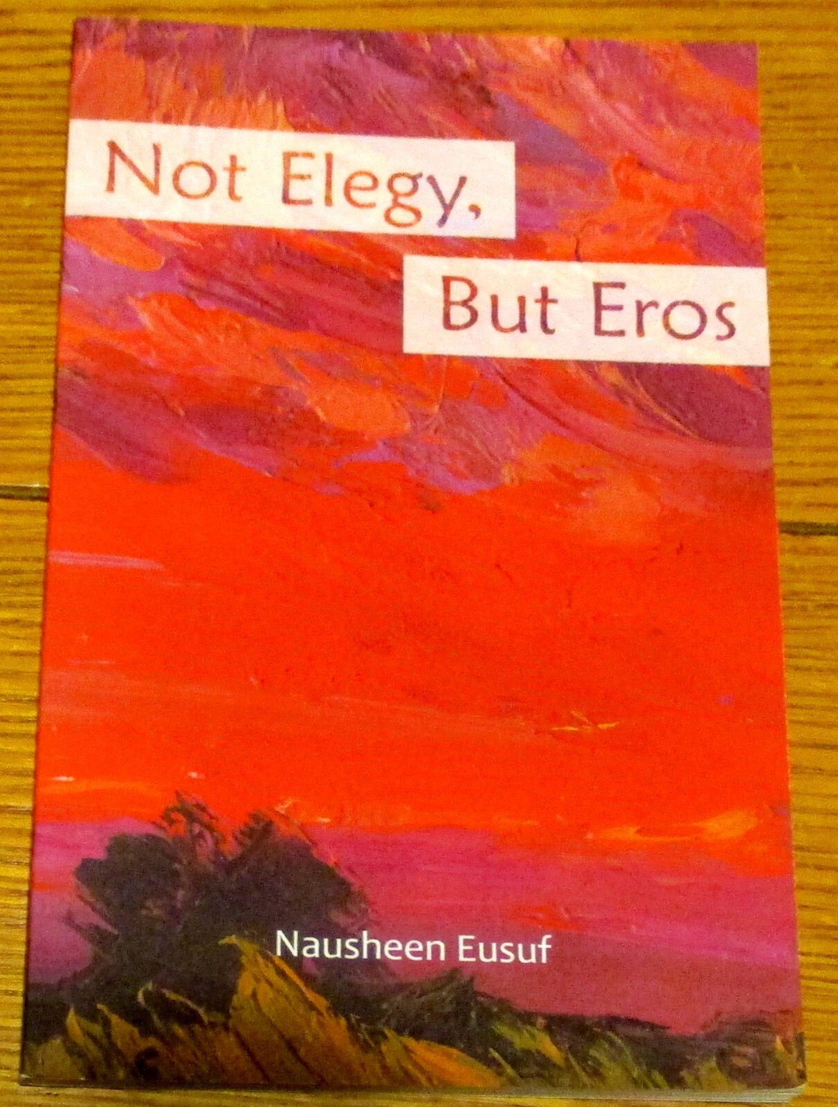 2017 Not Elegy, But Eros by Nausheen Eusuf SIGNED Softcover Book 88 Pages