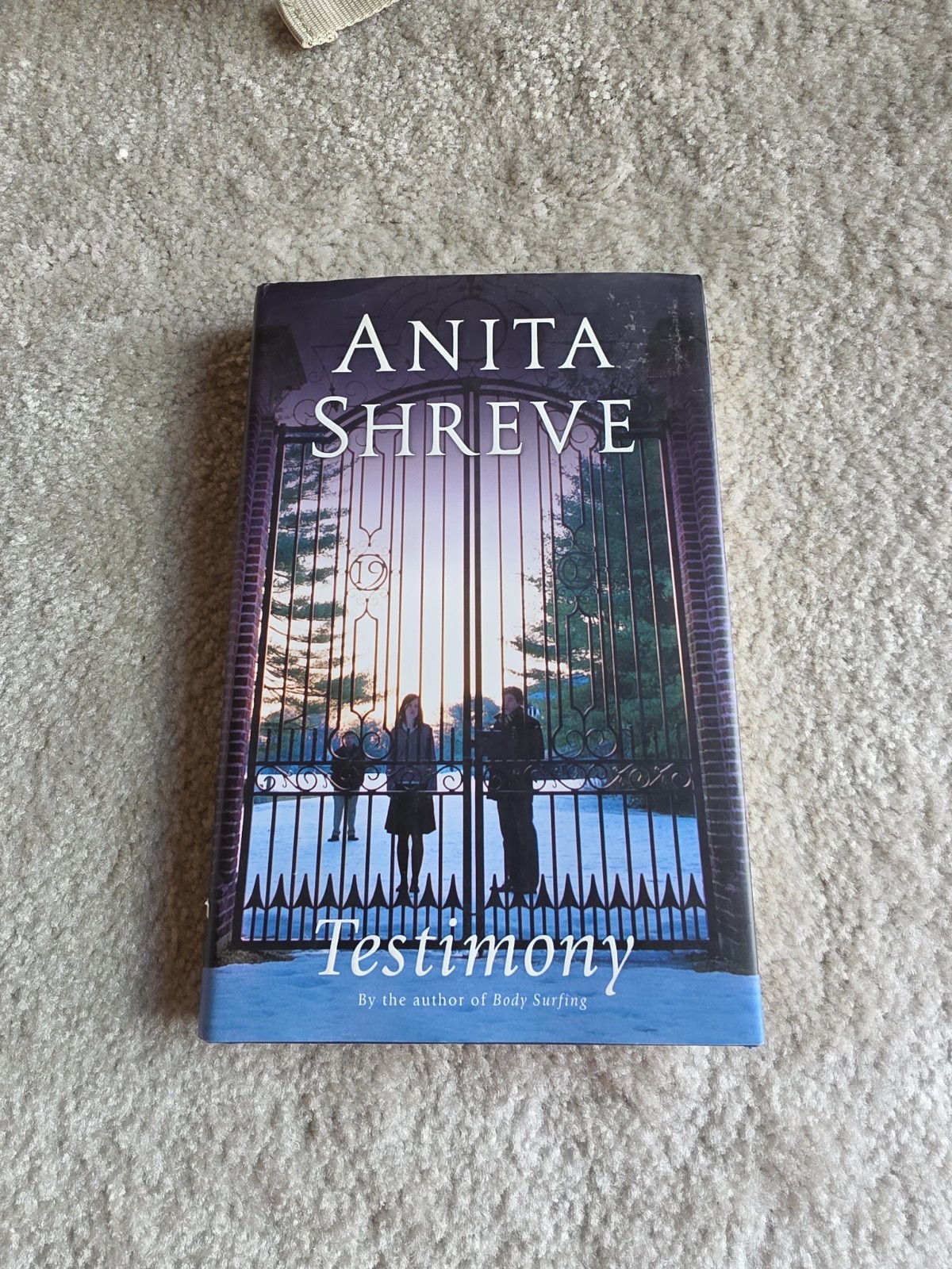 Testimony First Edition Anita Shreve