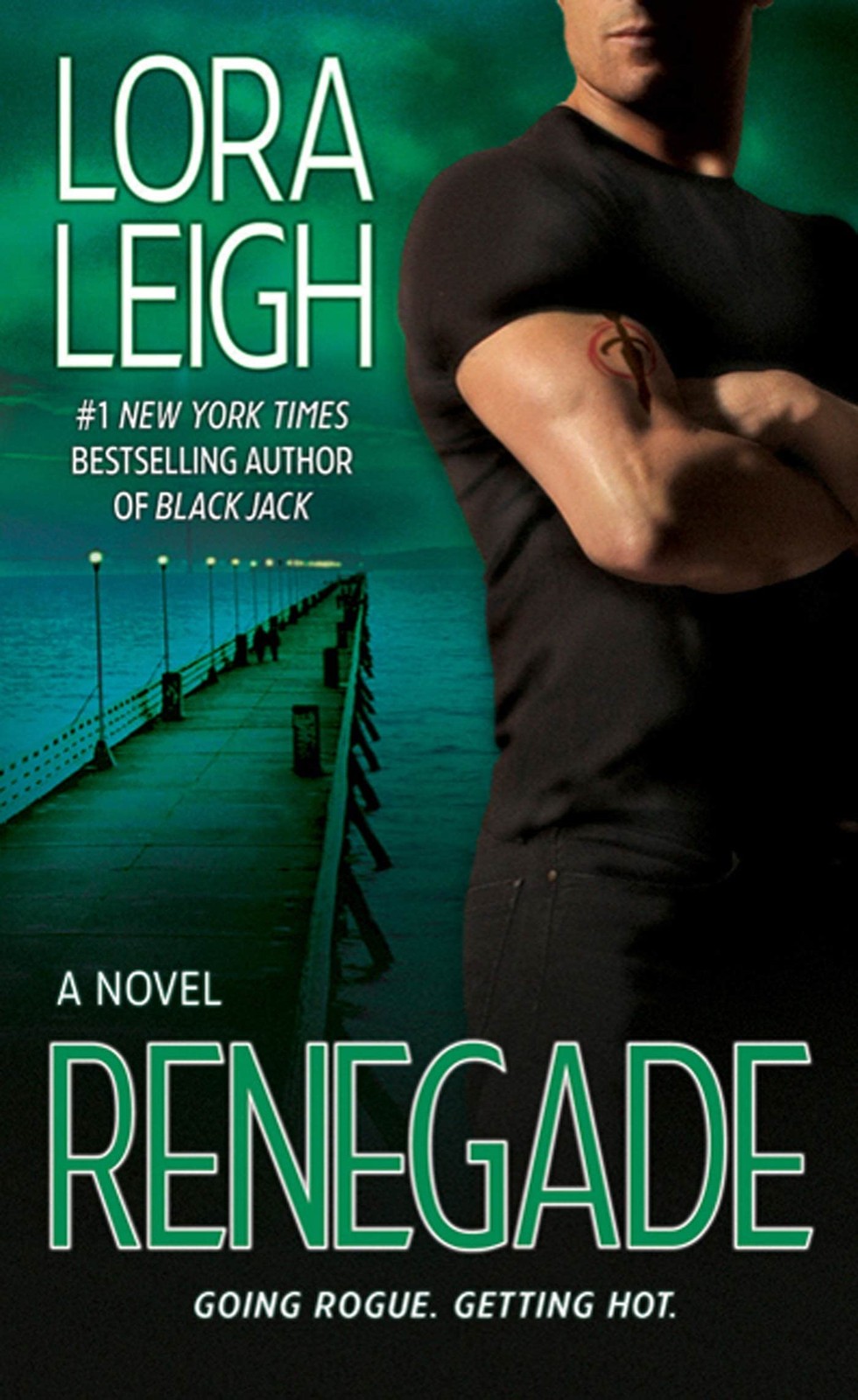 Renegade: A Novel (Elite Ops, 5)